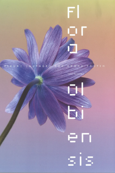 Fleurs sauvages - © Villa Noailles Hyères